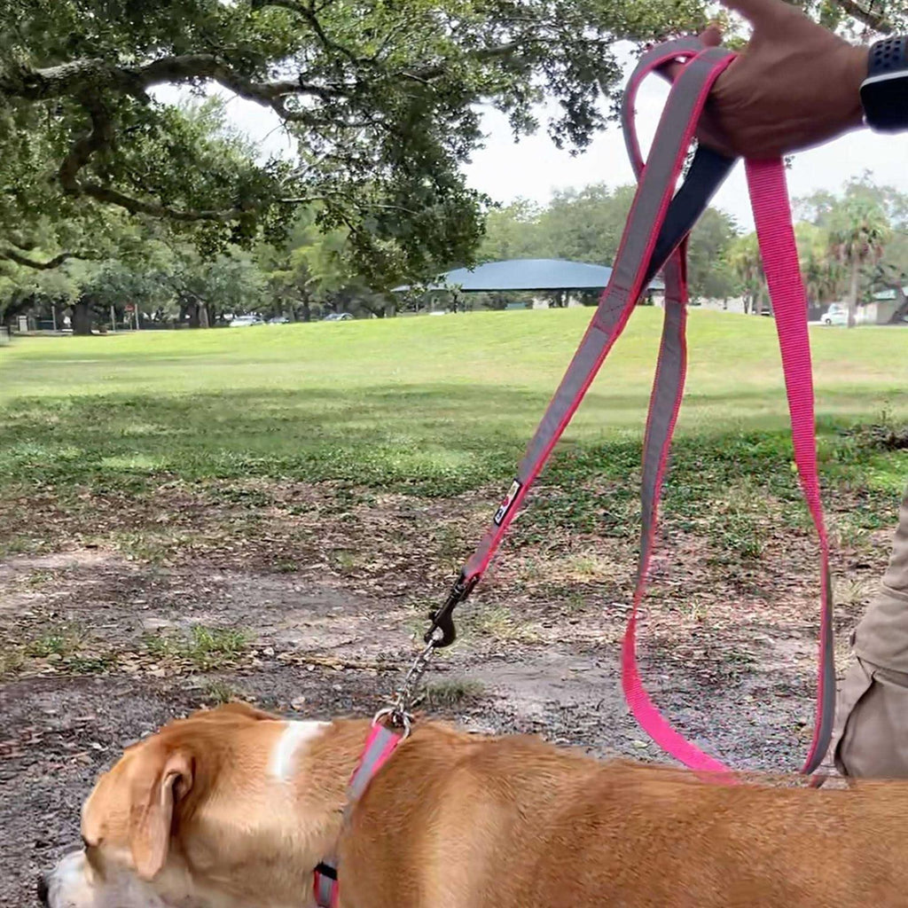 6 ft Dog Leash L554769