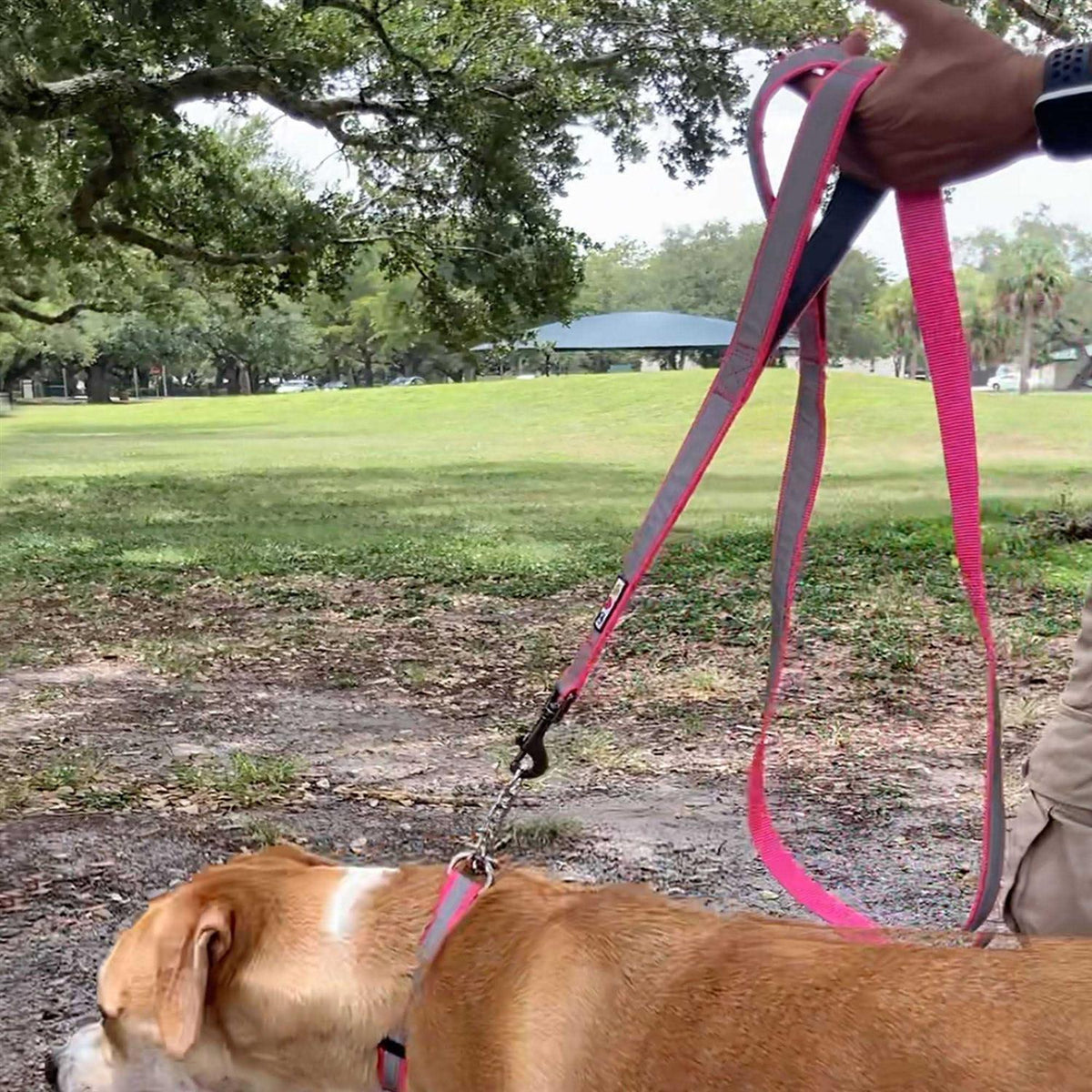 6 ft Dog Leash L554769