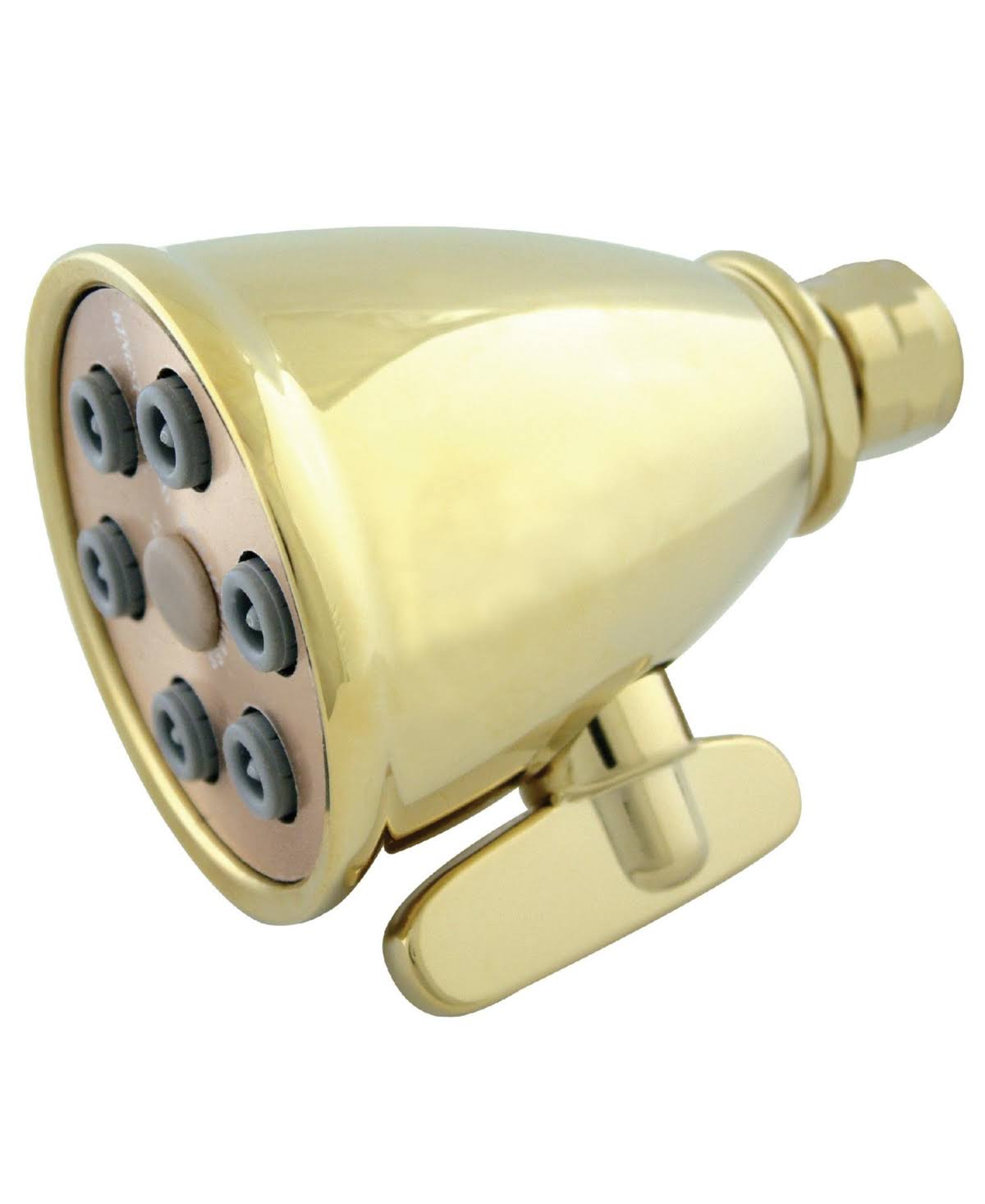 Polished Brass Shower Head V454034