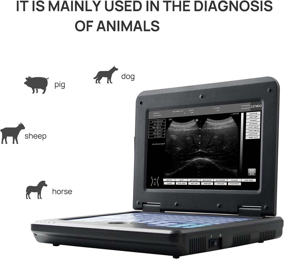 Portable Veterinary Ultrasound Machine with Convex and Linear Probe X49065