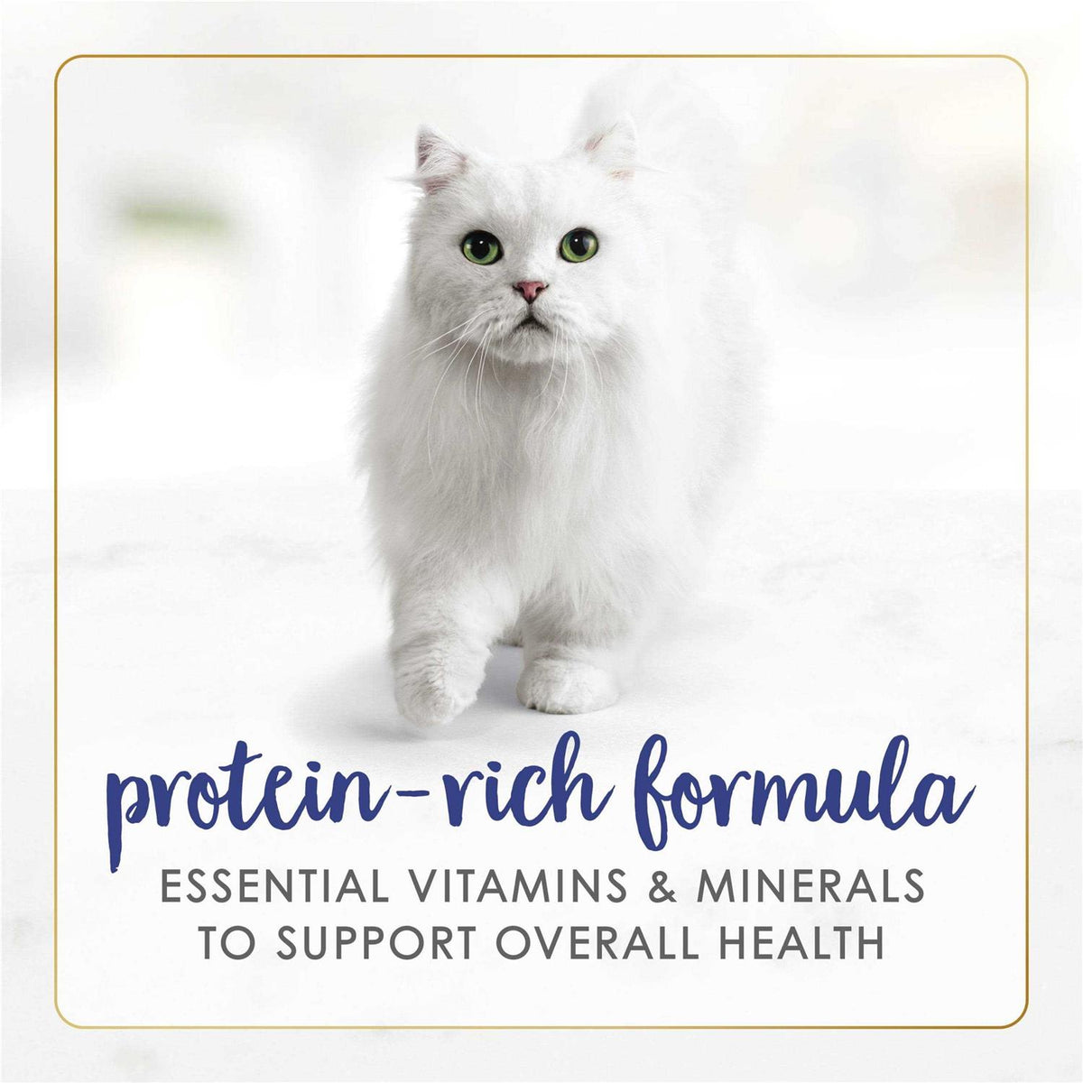 Wet Cat Food Q587