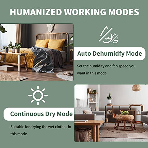 6,000 Sq.Ft Energy Star Dehumidifier with WIFI E489