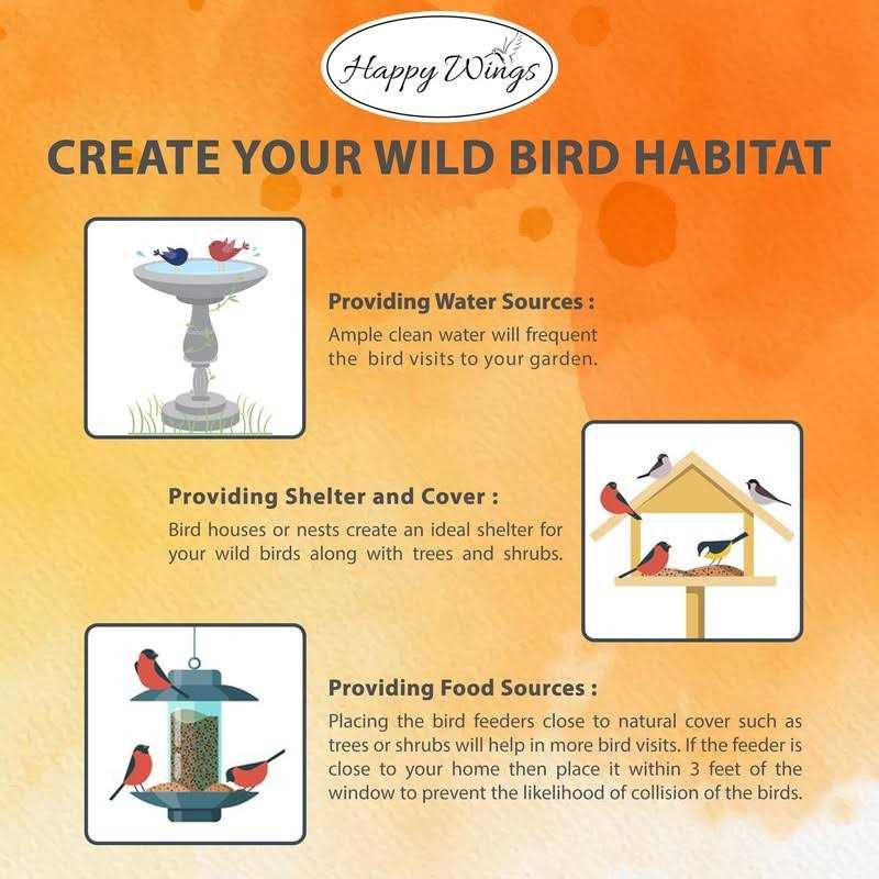 Thistle/Nyjer Seed Bird Food H662