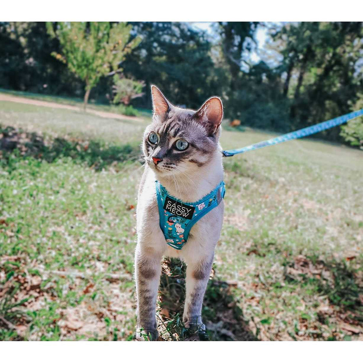 Cat Step-In Harness T9734
