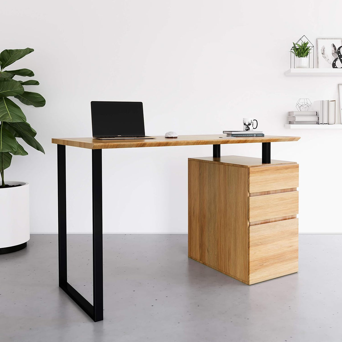 Computer Desk with Storage and File Cabinet E102
