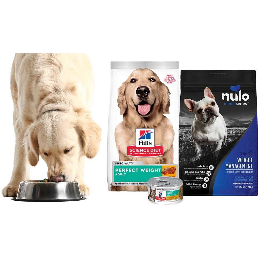 Salmon Sensitive Skin & Stomach Dry Dog Food S84802