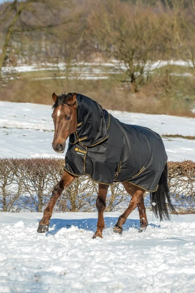 Black Turnout F553