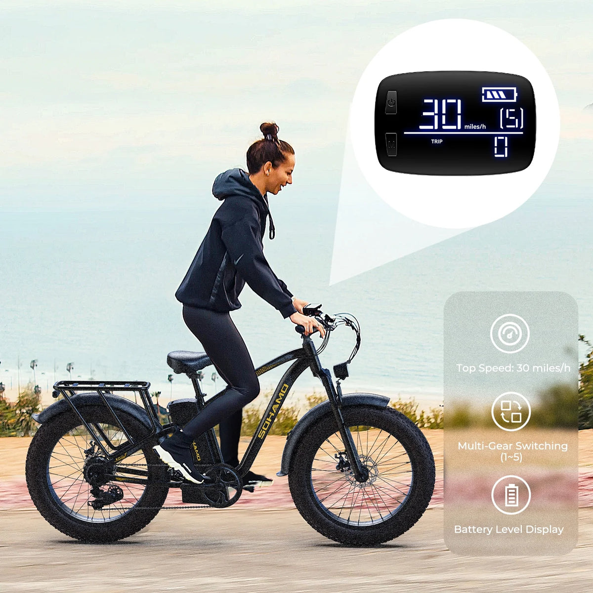Electric Bike 26×4.0 Fat Tire 750W Motor 48V 15AH L313