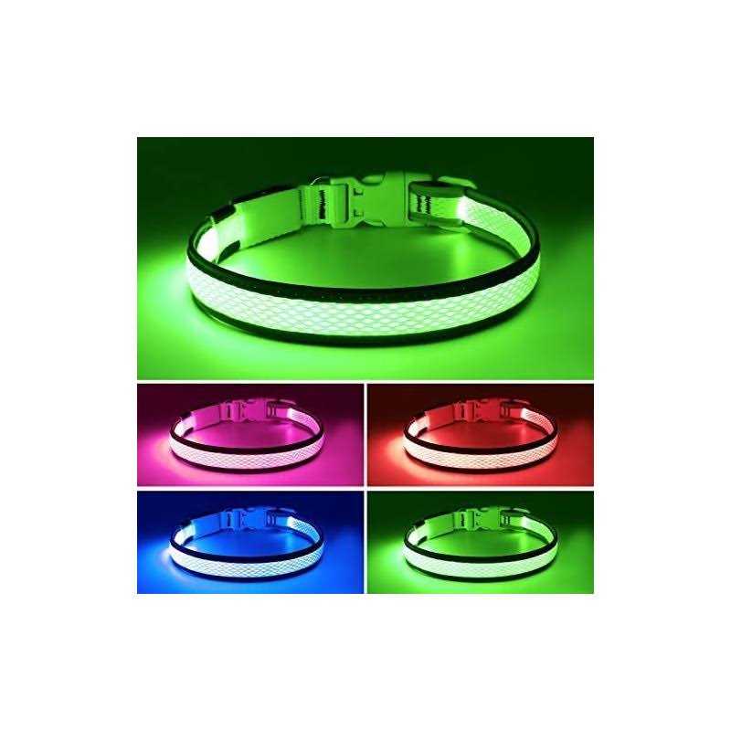 USB Rechargeable LED Dog Collar A629