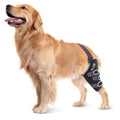 Knee Support for Dogs L585