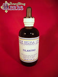 Cilantro B373127