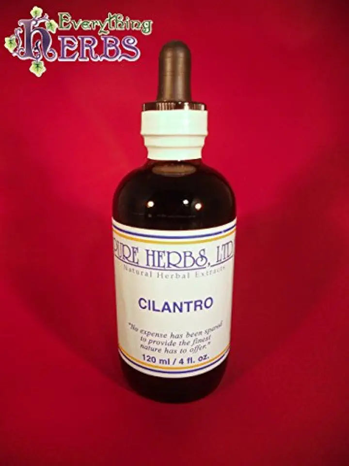 Cilantro B373127
