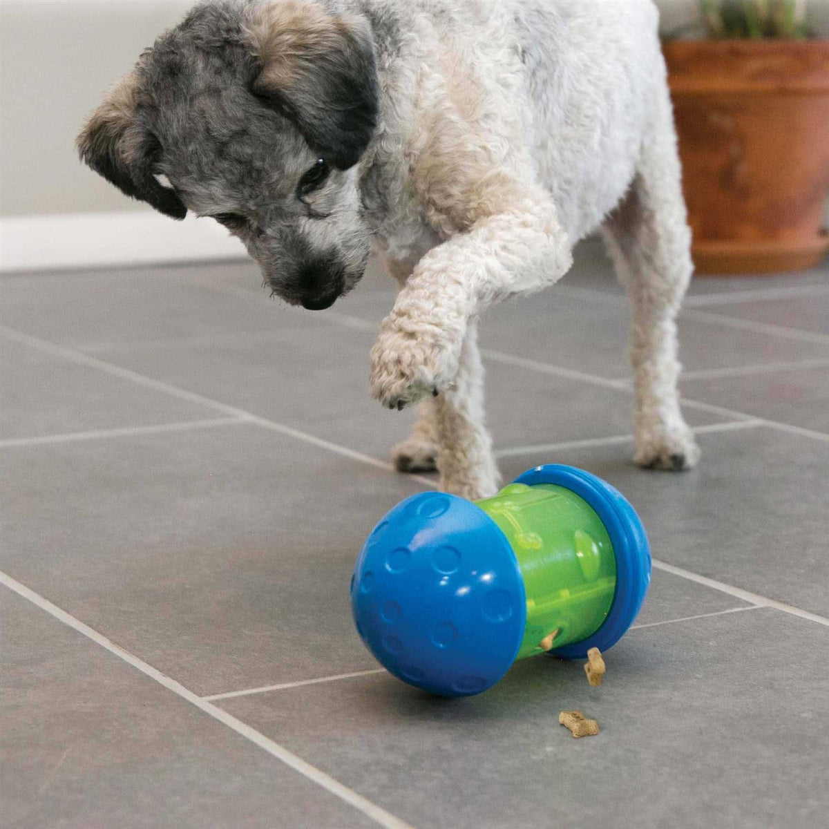 Dog Toy T1267