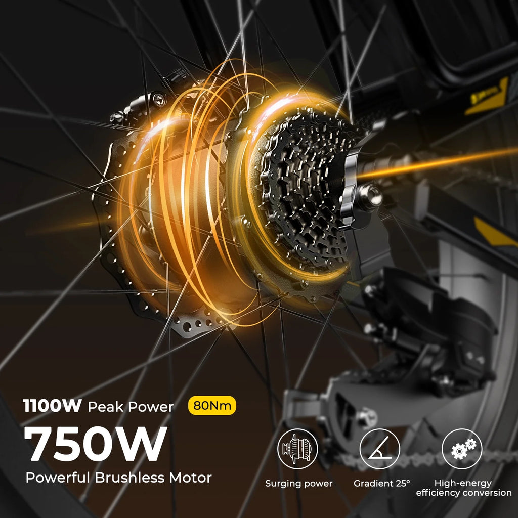 Electric Bike 26×4.0 Fat Tire 750W Motor 48V 15AH L313
