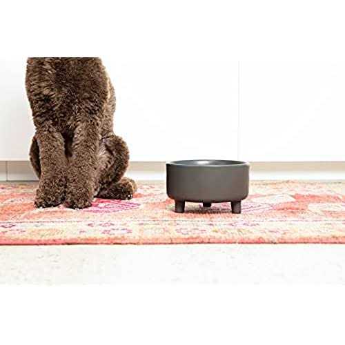 Ceramic Dog Bowl X57819