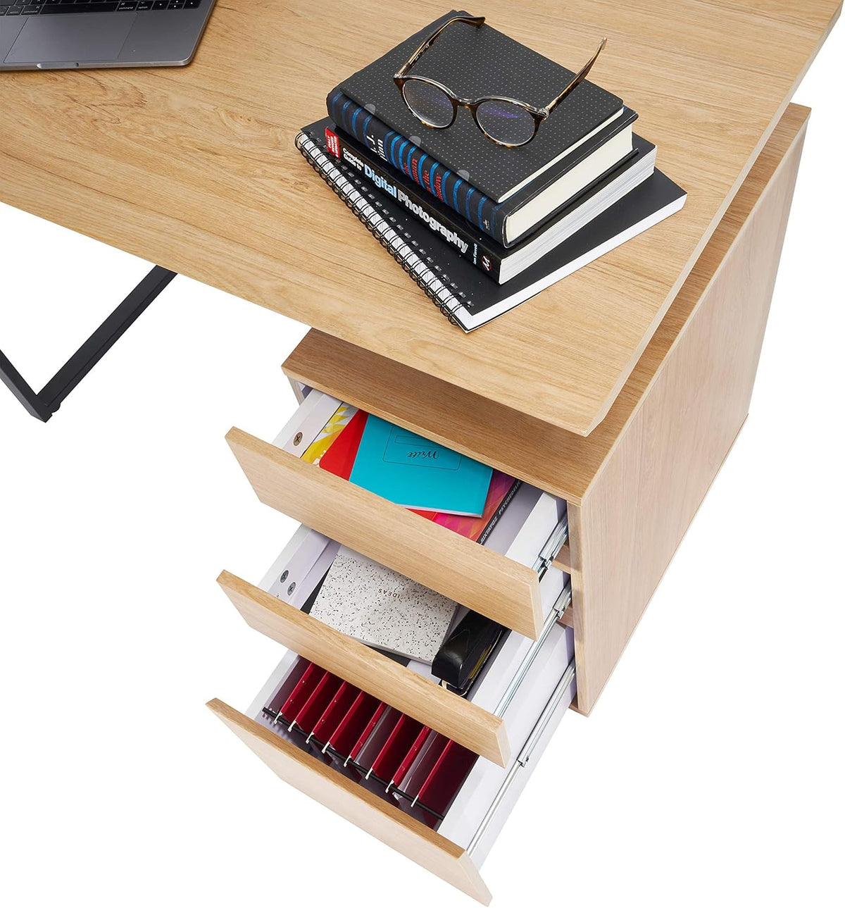 Computer Desk with Storage and File Cabinet E102