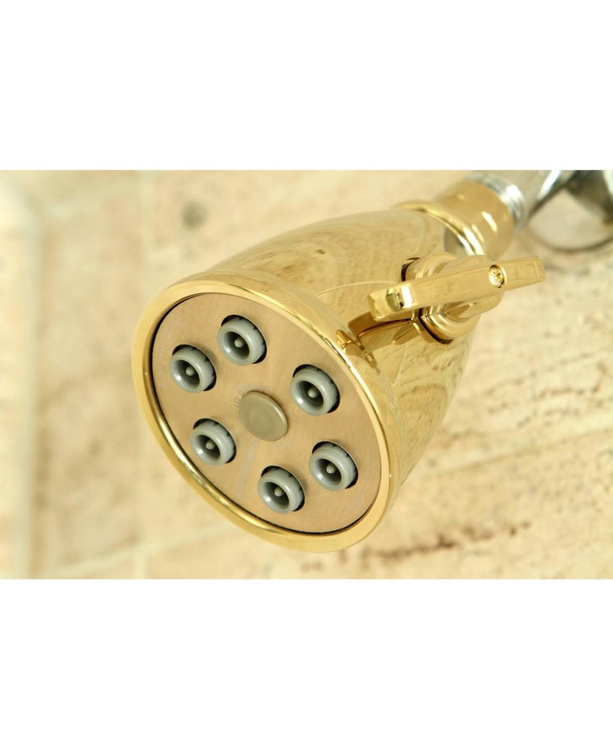 Polished Brass Shower Head V454034