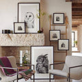 Owl Prints V607413