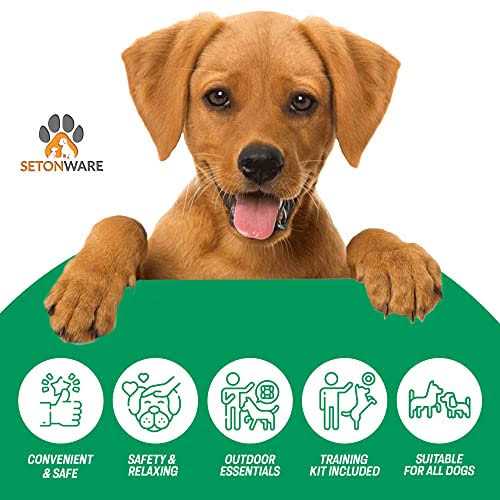 Puppy Starter Kit Dog Toys Dog Bed Blankets Grooming Tool S150