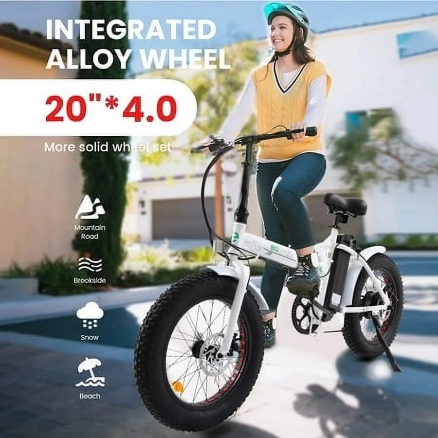 Folding 20 Fat Tire Electric Bike 500 W Z478