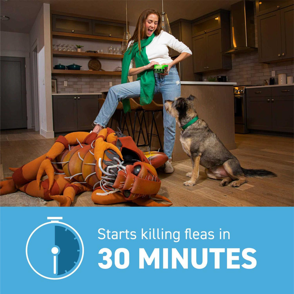 Flea Treatment for Dogs 2-25 lb O595656