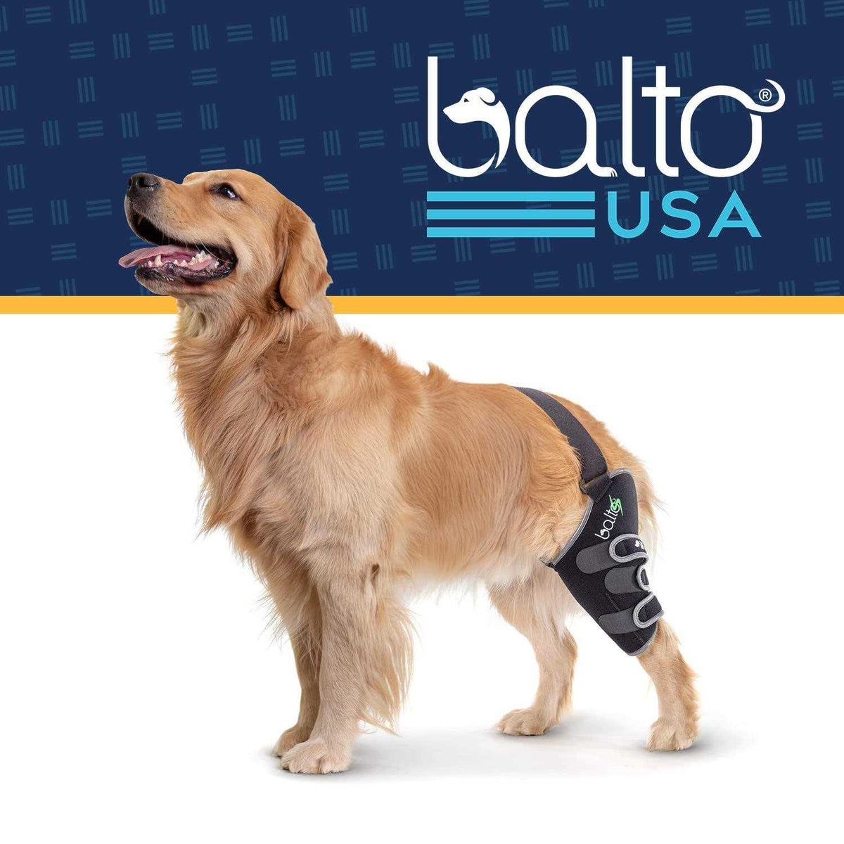 Knee Support for Dogs L585