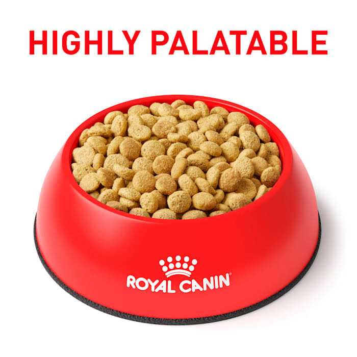 Veterinary Satiety Weight Management Pet Supplies G369