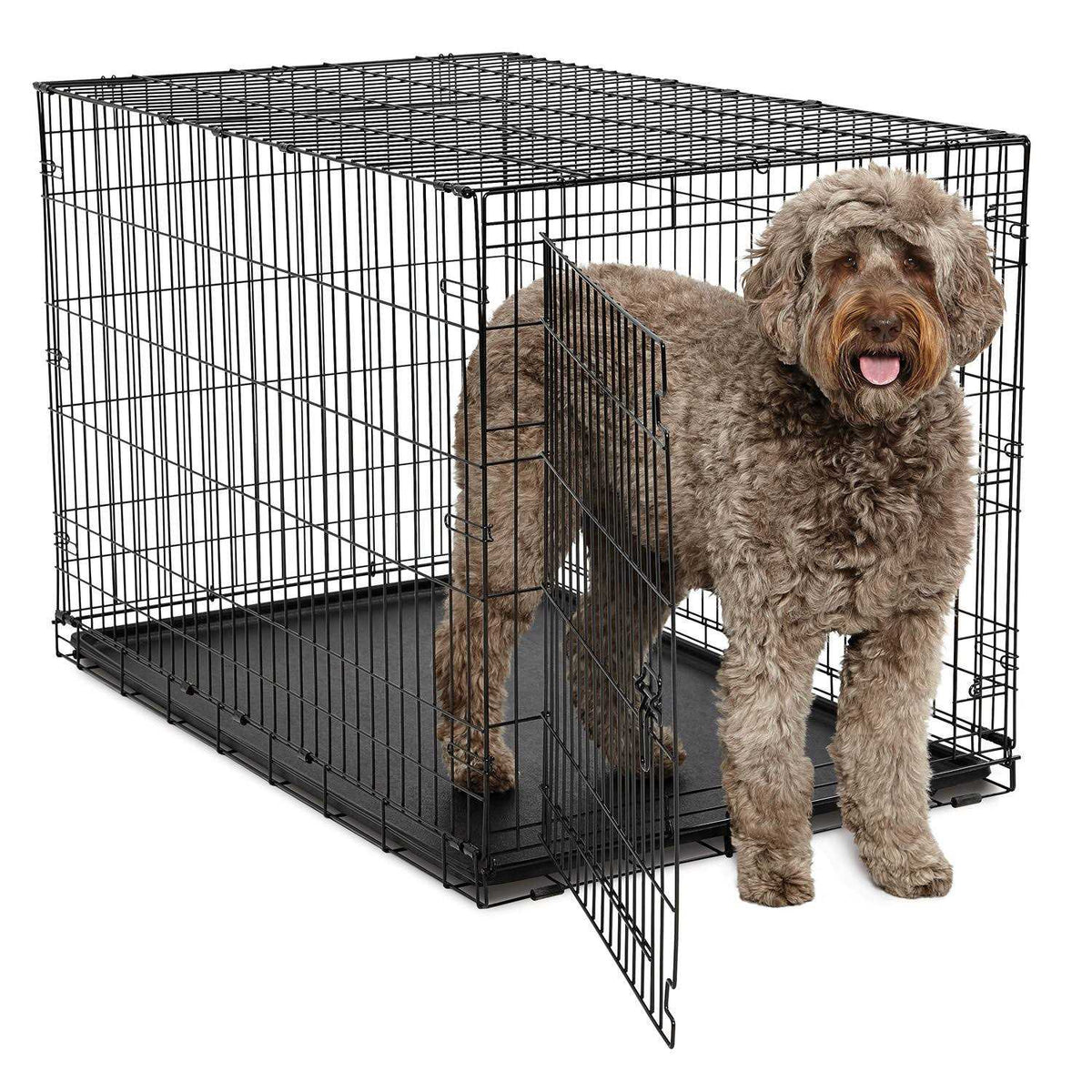 Single-Door Dog Crate K653