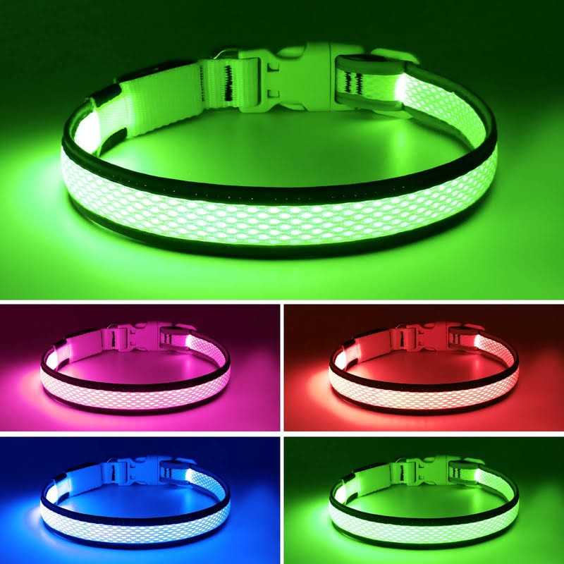 USB Rechargeable LED Dog Collar A629