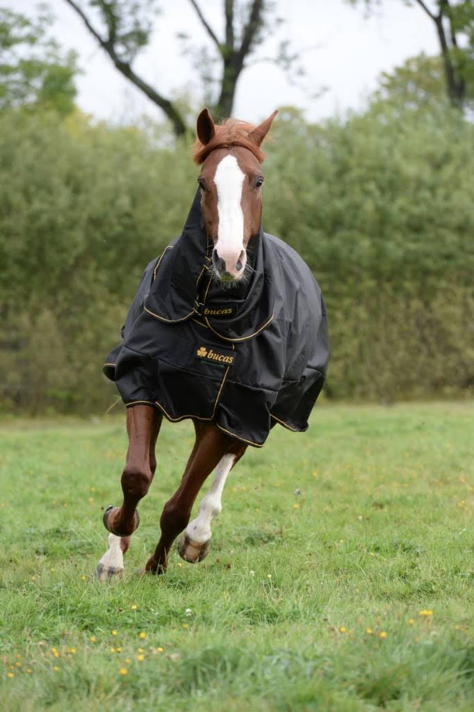 Black Turnout F553
