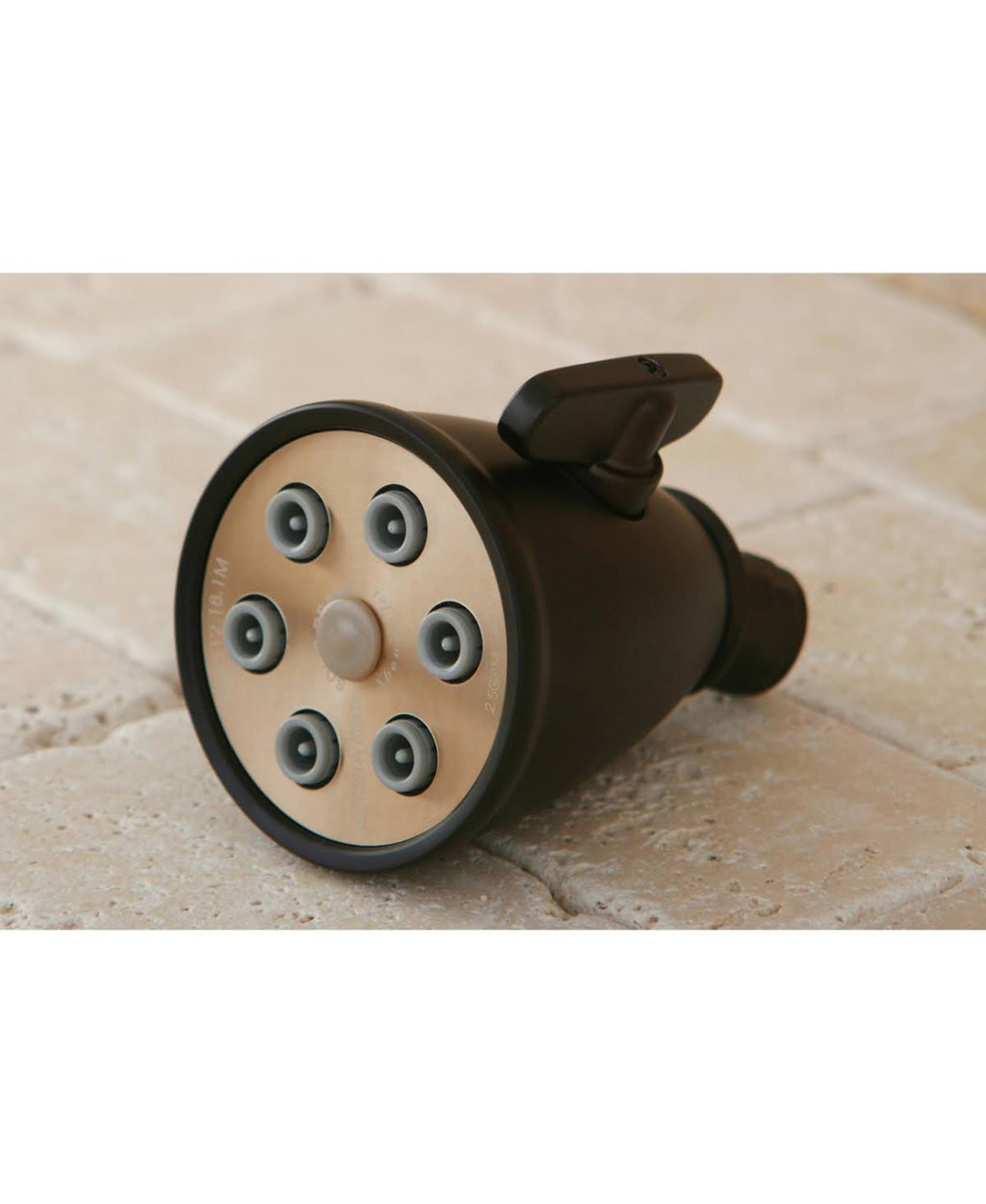 Polished Brass Shower Head V454034