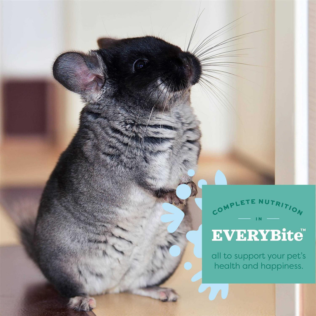 Chinchilla Food J847
