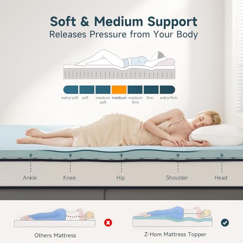 3 Inch Queen Memory Foam Mattress Topper White Q44158