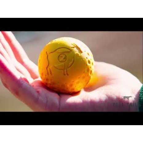Goat Sport Ball Dog Toy G7290
