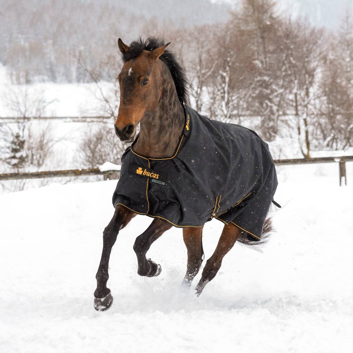 Black Turnout F553