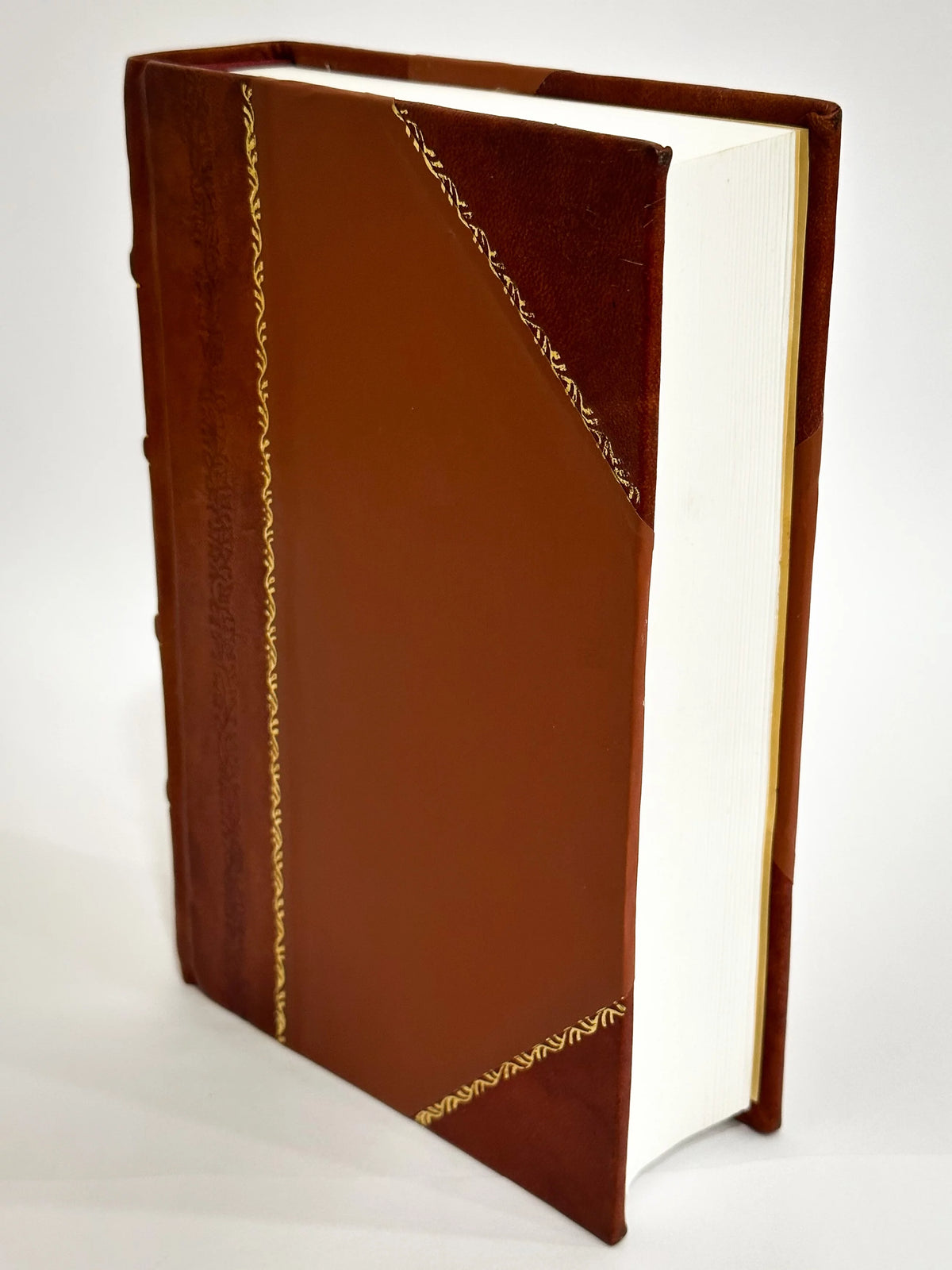 Leather Bound Medical Book X20212
