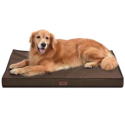 Extra Large Waterproof Egg Crate Foam Dog Bed with Removable Washable Cover F898