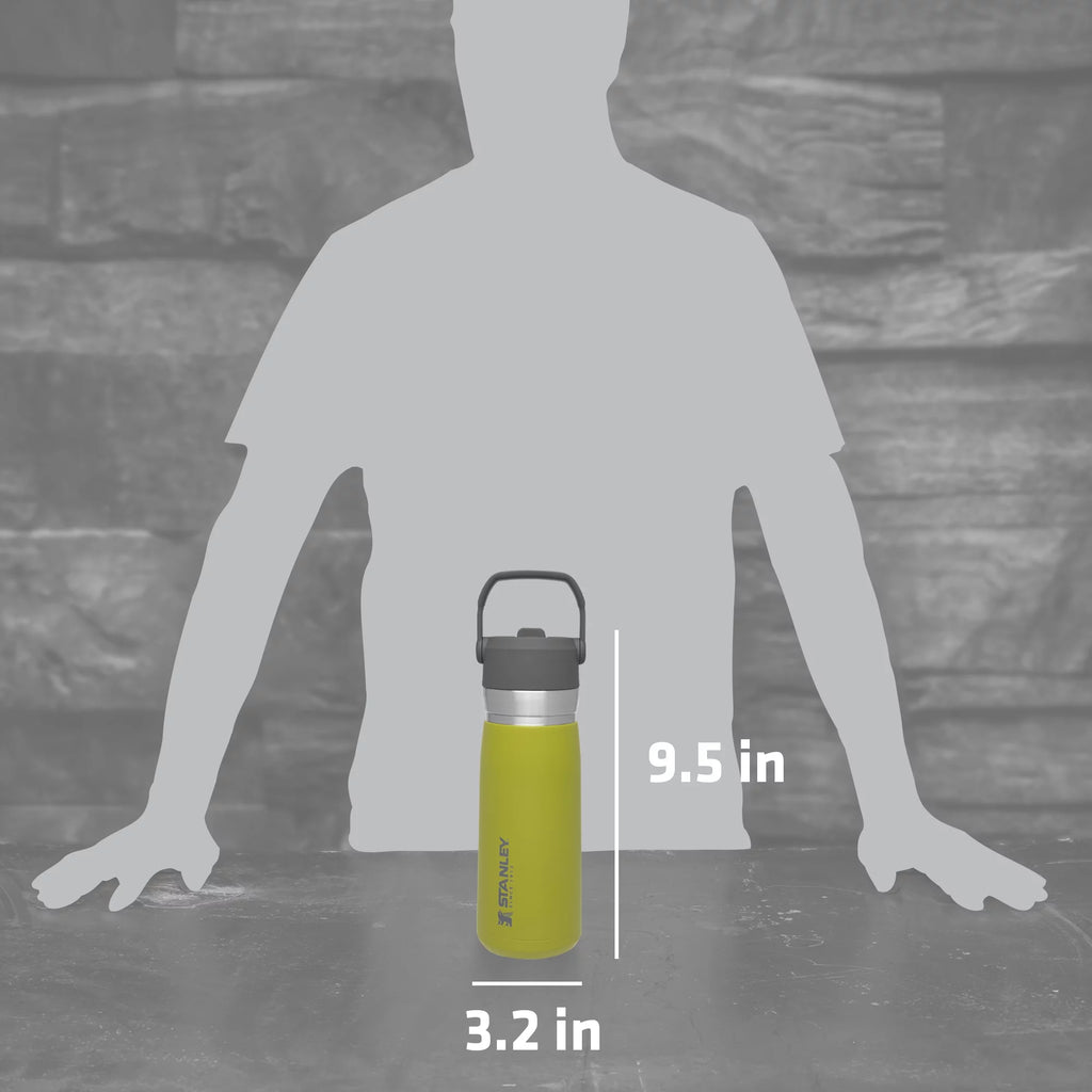 22 oz Insulated Stainless Steel Water Bottle with Straw and Flip-Top Lid Y858319