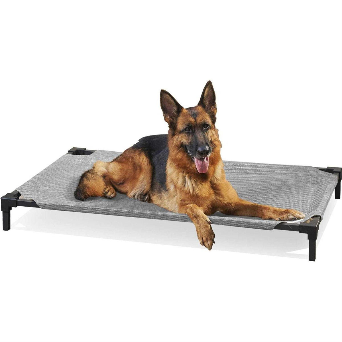 Elevated Pet Bed Q500