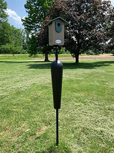 Bird Feeder Mounting Pole with Baffle B45779