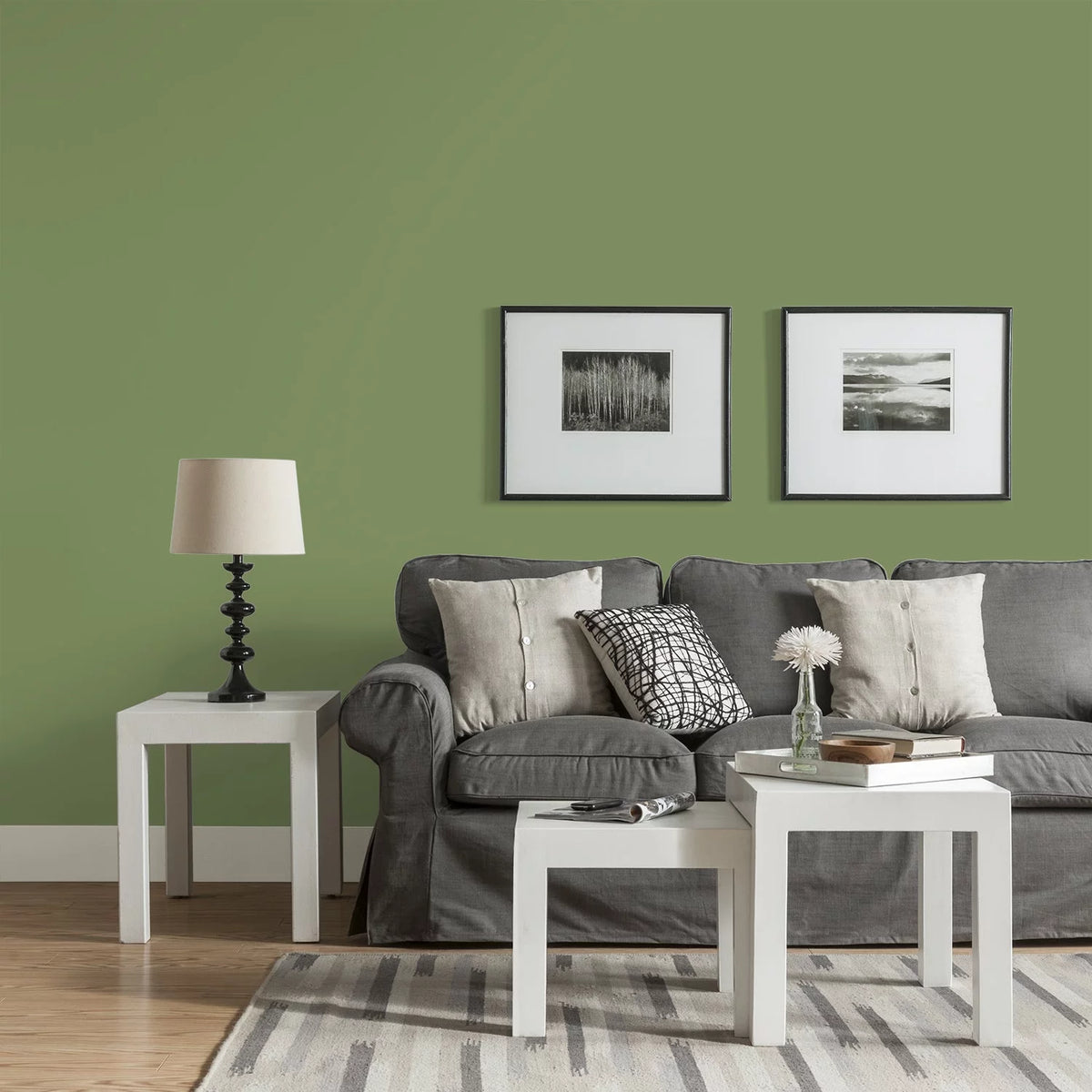 Interior Paint + Primer Green Eggshell 1 Gallon D653
