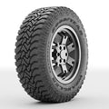 All-Terrain Tire W317752