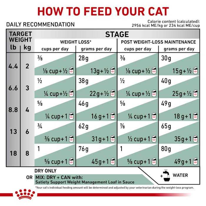 Veterinary Satiety Weight Management Pet Supplies G369
