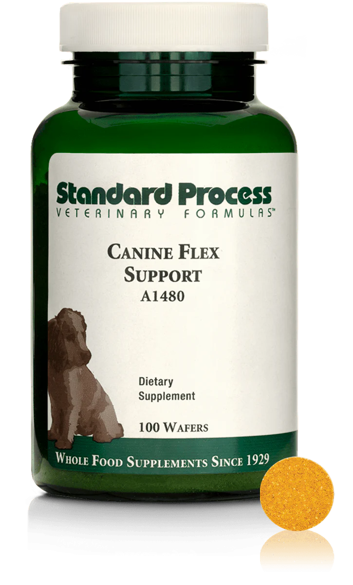 Canine Flex Support M46551