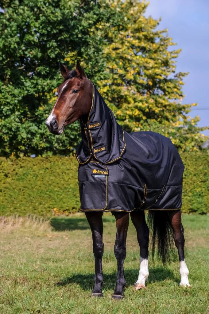 Black Turnout F553
