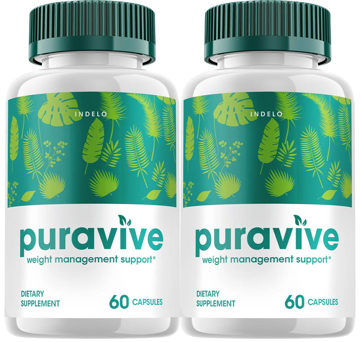 2 Pack 120 Capsules Supplement R30630