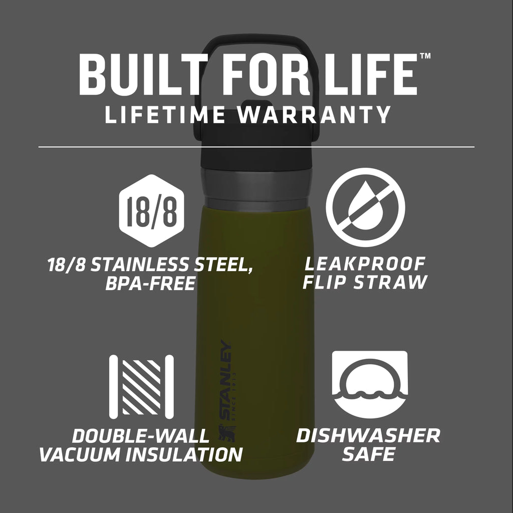 22 oz Insulated Stainless Steel Water Bottle with Straw and Flip-Top Lid Y858319