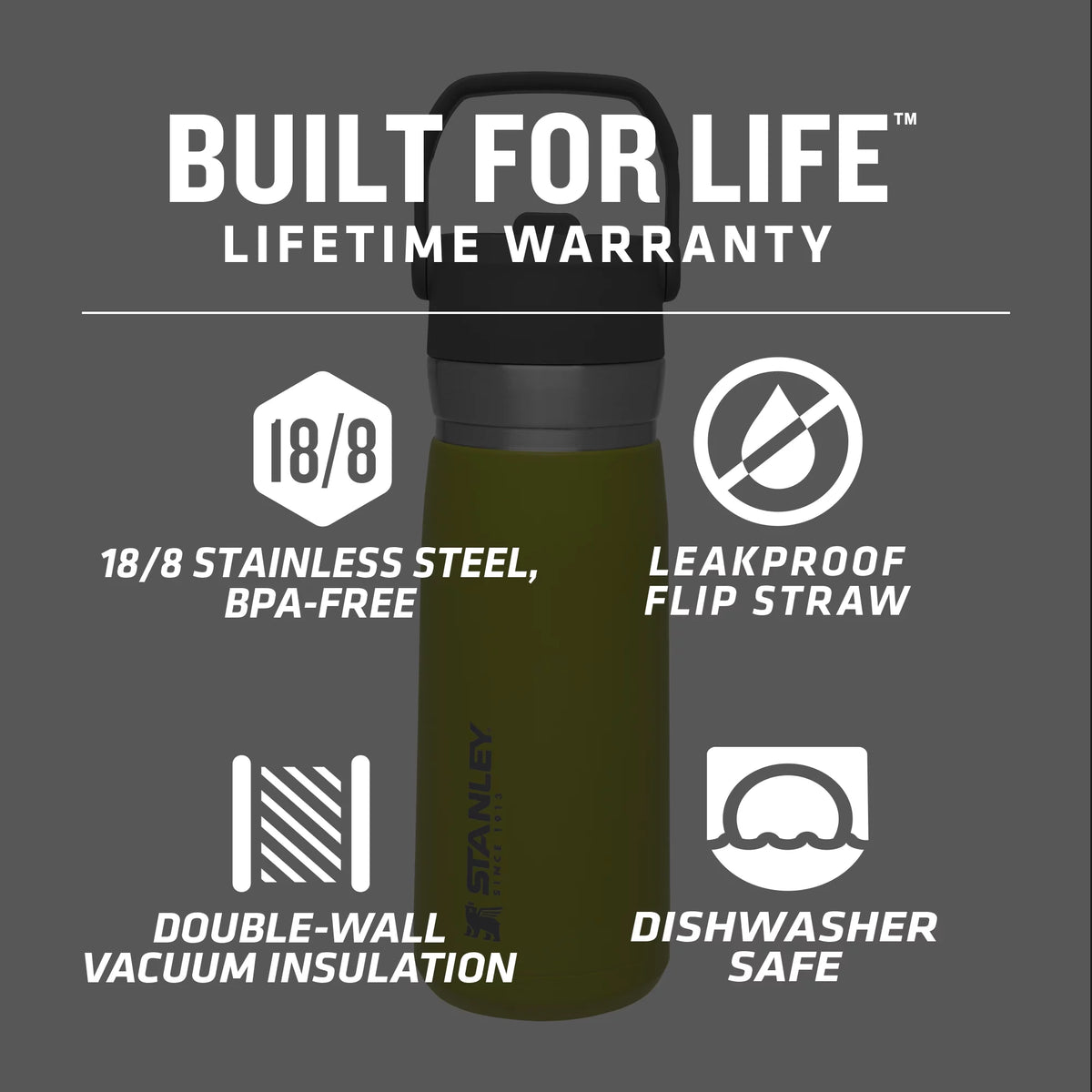 22 oz Insulated Stainless Steel Water Bottle with Straw and Flip-Top Lid Y858319