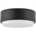Black Two Light Flush Mount T517235
