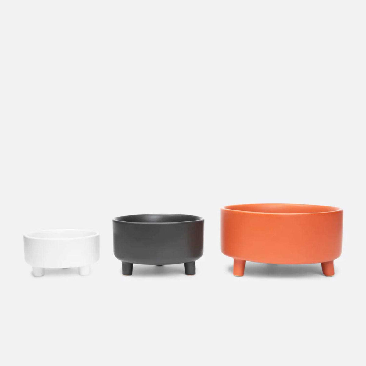 Ceramic Dog Bowl X57819